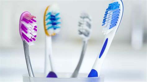 Como Escolher Escovas De Dente Higiene Bucal