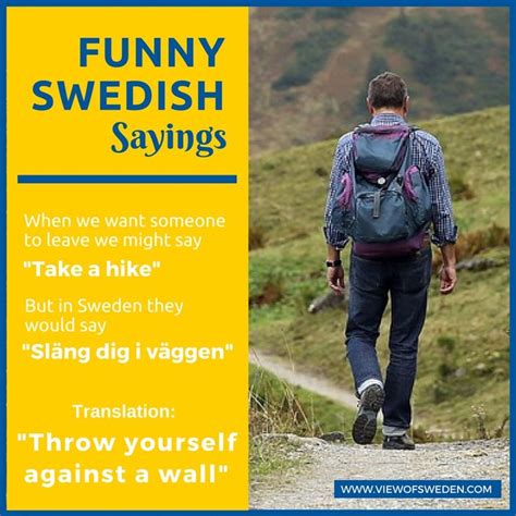 Funny Swedish Sayings How To Insult Someone In Swedish Roliga
