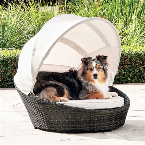 Luxurious Outdoor Dog Bed With Canopy The Green Head