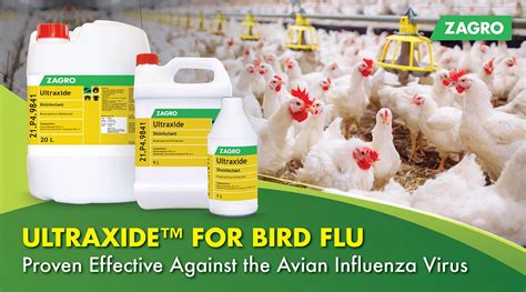 Ultraxide™ Disinfectant Against Bird Flu Avian Influenza Zagro