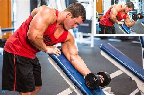 Awesome Arms Workout Arms By Labrada Forearm Workout Workout