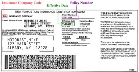 Click on the format you would like to display the codes. Sample Insurance Inquiry or Suspension Order and Insurance Identification Card | New York State DMV