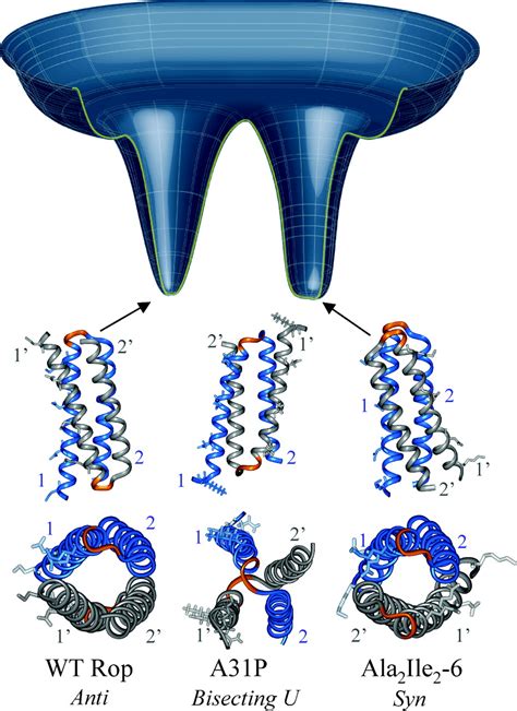 Symmetry And Frustration In Protein Energy Landscapes A Near