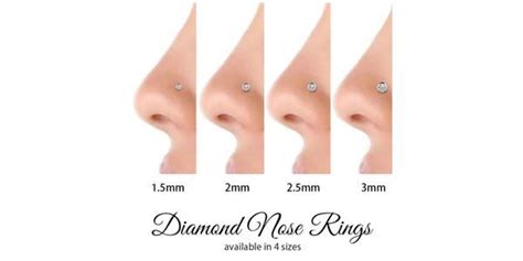 Nose Piercing Chart