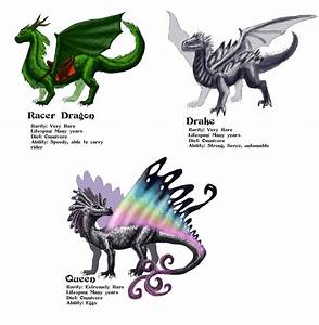Three Rare Dragons By Netraptor On Deviantart