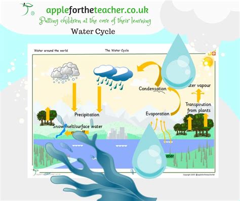Water Cycle Diagram Apple For The Teacher Ltd