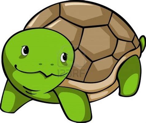 Cartoon Turtle Images