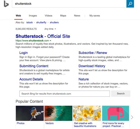 Bing Adds Popular Content Search Results Snippet Section