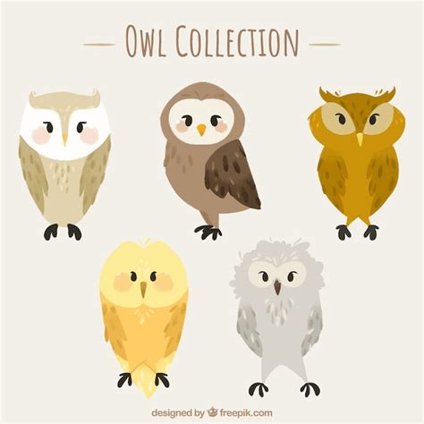 Free Vector Flat Owl Collection
