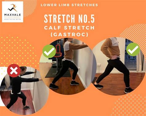5 Easy Stretches To A Healthier Knee Maxvale Physiotherapy