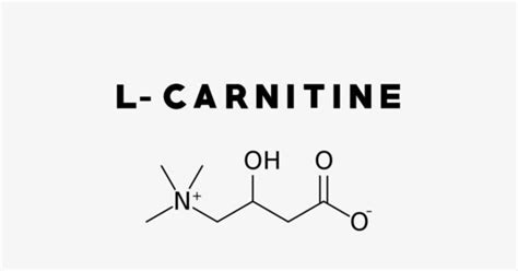 L Carnitine Uses Side Effects Interactions Dosage And Supplements