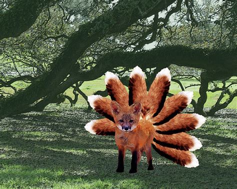 Nine Tail Fox Digital Art By Loveday Funck Pixels