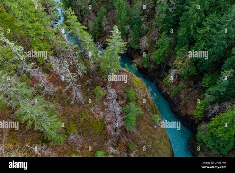 View Down From High Steel Bridge Over South Fork Skokomish River On