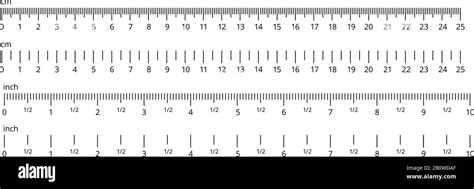 Inch And Metric Rulers Centimeters And Inches Measuring Scale