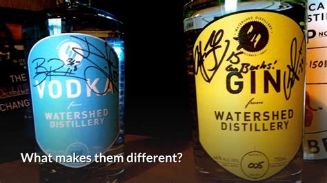 What Is The Difference Between Gin And Vodka Gin Vs Vodka
