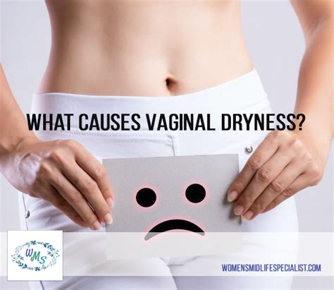 what causes vaginal dryness women s midlife specialist