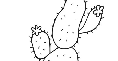 See more ideas about coloring pages, cactus, printable coloring pages. Cactus coloring pages and printables
