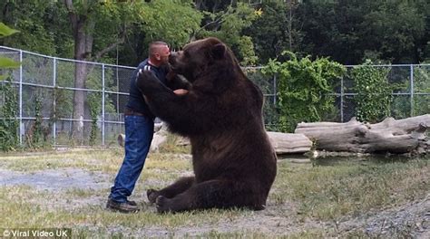 Now Thats A Proper Bear Hug Tactile Animal Cant Stop Cuddling His