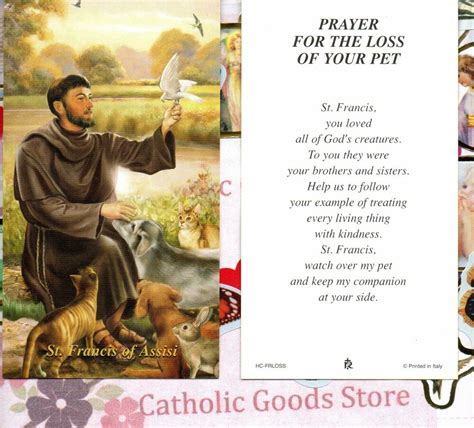 Prayers for animals / pets. St. Francis of Assisi - Prayer for the Loss of your Pet ...