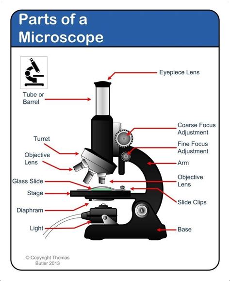 Parts Of A Microscope Worksheet