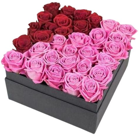 How Do I Choose The Best Roses For Mothers Day By Envie Roses