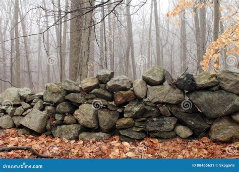 New England Rock Wall In The Woods Stock Image Image Of Bare Orange