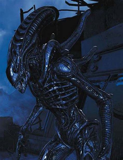 Xenomorph Alien Alien Anthology Wiki The Alien And Prometheus