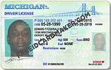 Images of Michigan Drivers License Types