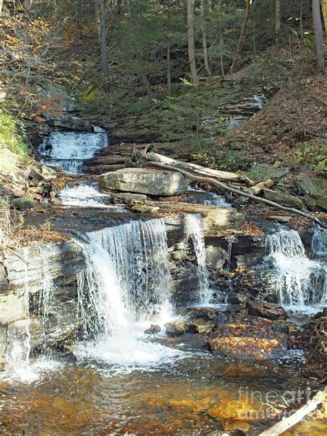Delaware And Seneca Falls Ricketts Glen Photograph By Cindy Treger
