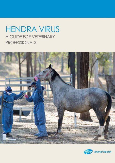 Hendra Virus Australian Veterinary Association