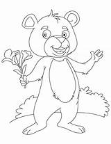 Canna Bear Flower Hand Coloring sketch template