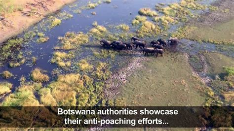 Botswana Fights Claims Of Elephant Poaching Spree Vidéo Dailymotion