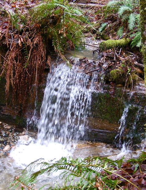 Cougar Mountain Washington Waterfall Flickr Photo Sharing