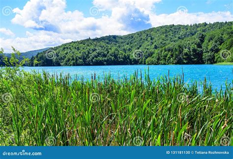 Reservoir In The Reeds On The Territory Of The Plitvice Lakes National