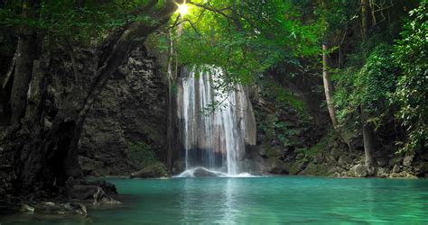 Tropical Paradise Nature Background Idyllic Waterfall Falls To