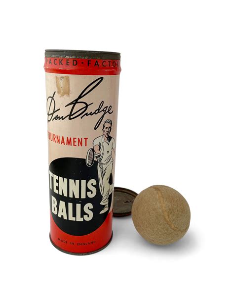 Vintage Can Of Tennis Balls Hedge