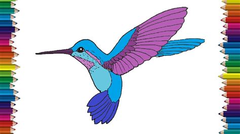 How To Draw A Hummingbird Step By Step Bird Drawing Easy Youtube