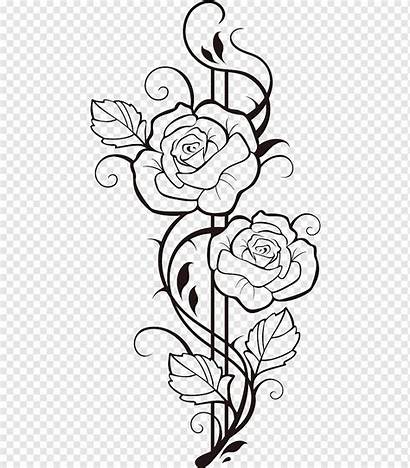 Rose Drawing Flower Hitam Mawar Bunga Putih