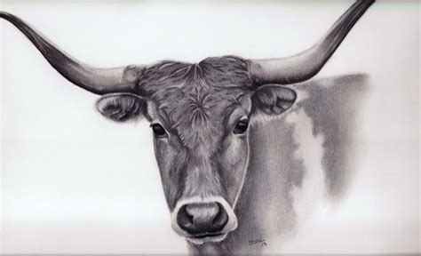 Portrait Drawing Of A Longhorn Hand Drawn Portraits From Your