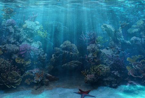 Coral Reef Backgrounds Images