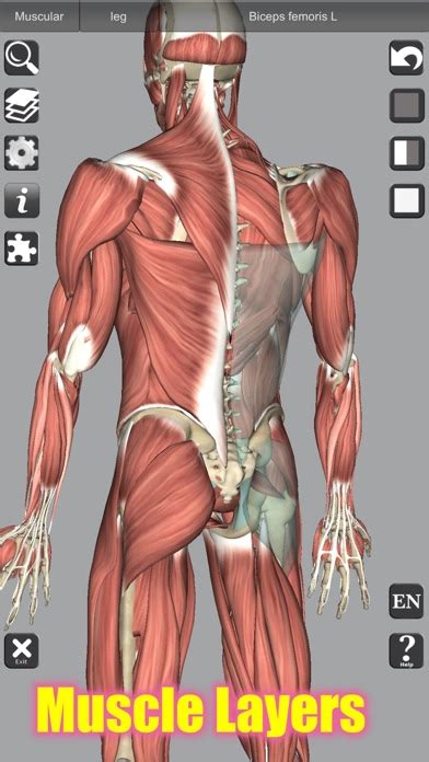 3d Anatomy Learning App Download Android Apk