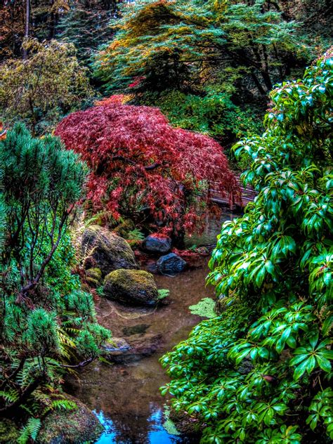 Thom Zehrfeld Photography Japanese Gardens Portland Part 2