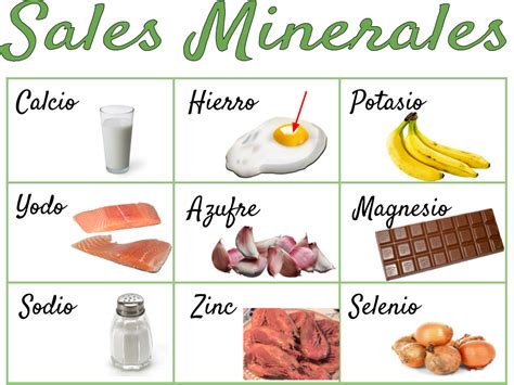 Principales Nutrientes Nutrientes Y Alimentos