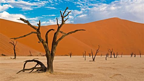 Le Parc National De Namib Naukluft Dans Le Sud Ouest De La Namibie