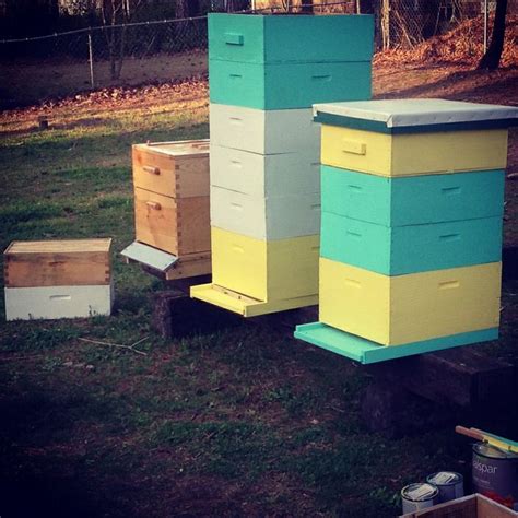 My Bee Boxes That I Painted I Think I Did A Pretty Good Job Bee