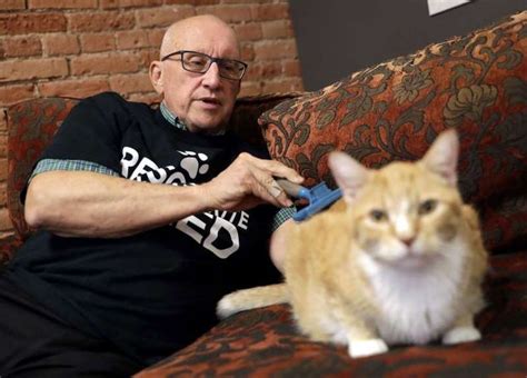 Cat Grandpa Goes Viral After Shelter Shares Photos Of Volunteer