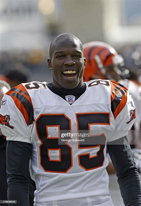 Wide Receiver Chad Johnson Of The Cincinnati Bengals Looks On From