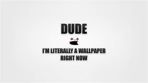 Funny Quotes Wallpapers On Wallpaperdog