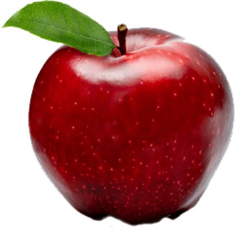 Download Free Png Apple Fruit Png File Png Images Transparent Apple