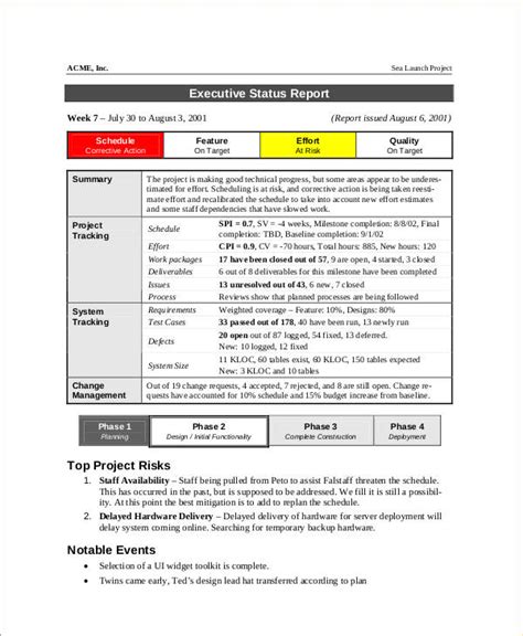 Status Report 9 Examples Format Pdf Examples